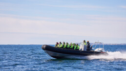 RIB filled with guests traveling on a blue ocean with open skies.