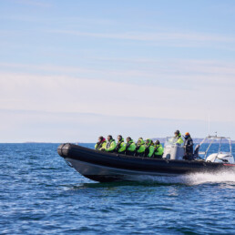 RIB filled with guests traveling on a blue ocean with open skies.