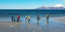 Gruppe med besøkende som vandrer på en strand. Høye fjell med snø ruger i bakgrunnen.
